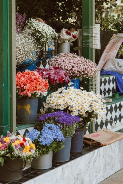 Floral Arrangements
