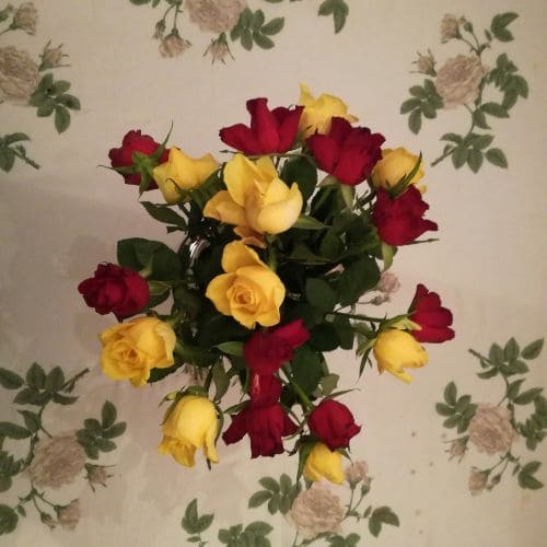 Carnation Mix Bouquet